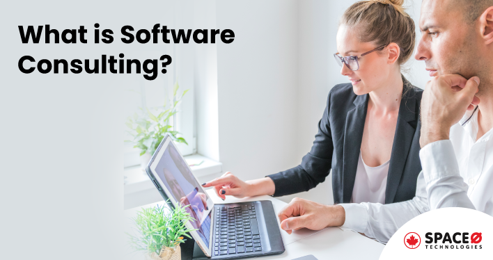 What is Software Consulting? [A Comprehensive Guide]